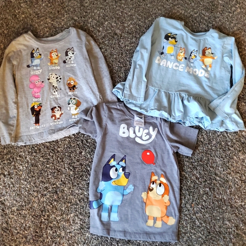 Bluey Bundle
